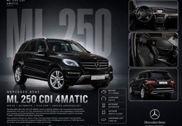 Mercedes-Benz ML 250 225.600 km 14.890 &euro; Nortmoor 26845