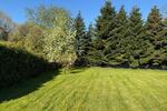 Großes Einfamilienhaus in Osteel (SG Brookmwerland) - Einfamilienhaus Osteel | Angebot:26477965